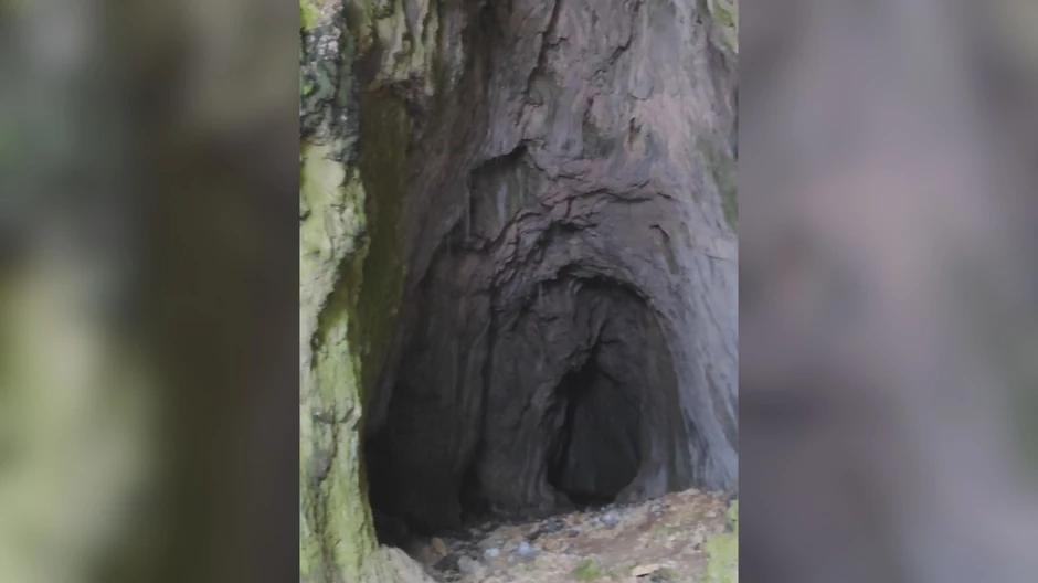 Ulaz u Godovsku pećinu