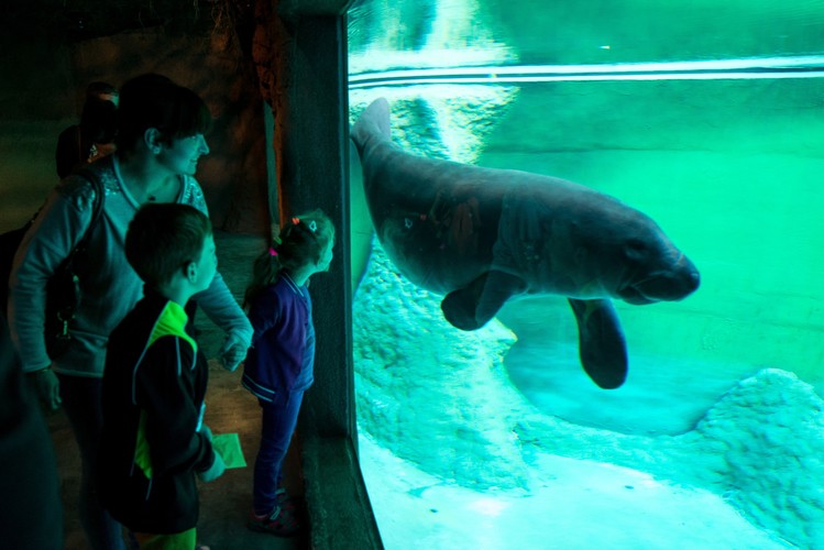 Wrocławskie Afrykarium