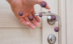 Mikroby w domu - gdzie i czego niebezpiecznego żyje najwięcej i jak się przed tym chronić?