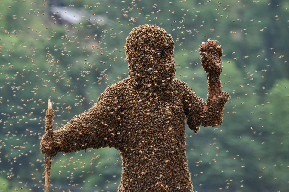 'Bee Bearding' Contest In Hunan