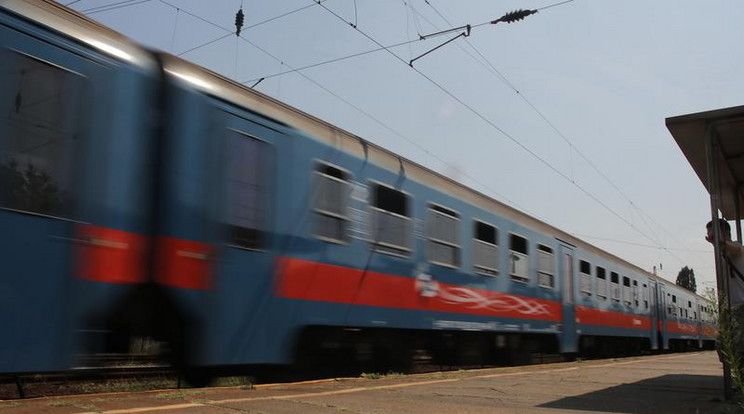 A szakszervezet szerint a mozdonyvezető helyesen cselekedett/ Fotó: Grnák László