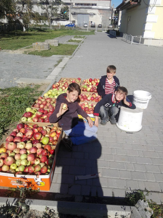 Bracia na targu warzywno-owocowym z jabłkami z własnego sadu