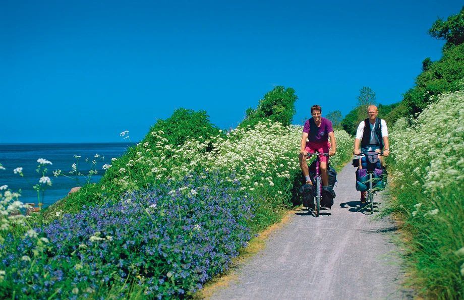 Bornholm to raj dla rowerzystów. Większość tras rowerowych nie ma styczności z ruchem samochodowym, a rower można wypożyczyć niemal wszędzie i w przystępnej cenie.