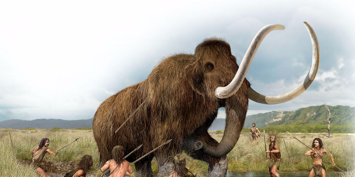 Scientists who want to bring back the giant woolly mammoth say they could be roaming around in 10 years