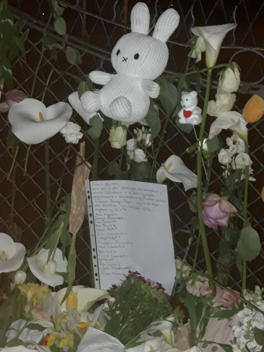 Škola "Vladislav Ribnikar"