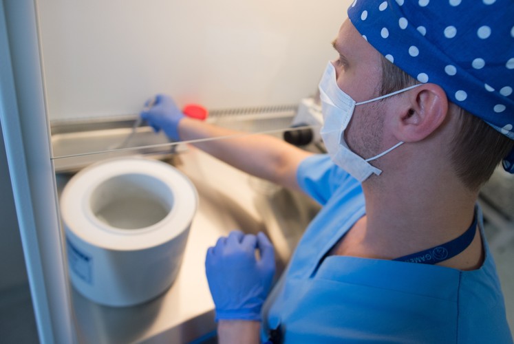 Embriolog dr n. med. Adam Abramik prezentuje sposób przygotowania tkanki do przeszczepu