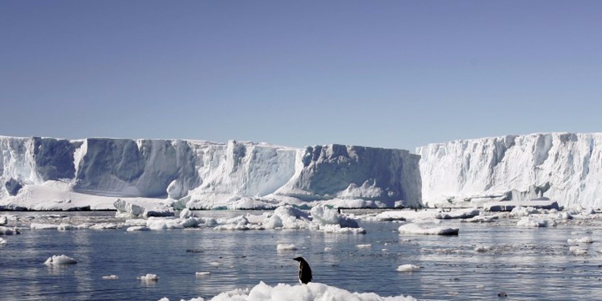 An Adelie penguin standing atop a block of melting ice in East Antarctica