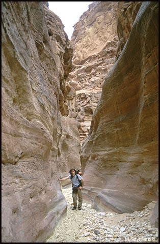 Galeria Jordania - pustynna przygoda, obrazek 11