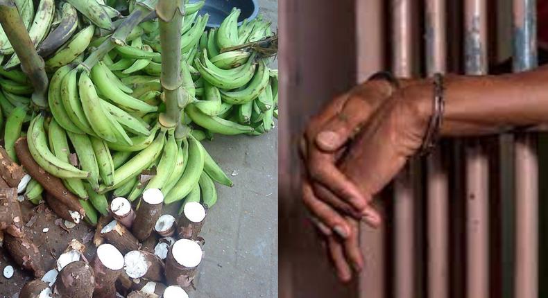 24-year-old Ghanaian unemployed man jailed 14 years for stealing plantain & cassava worth GH¢50