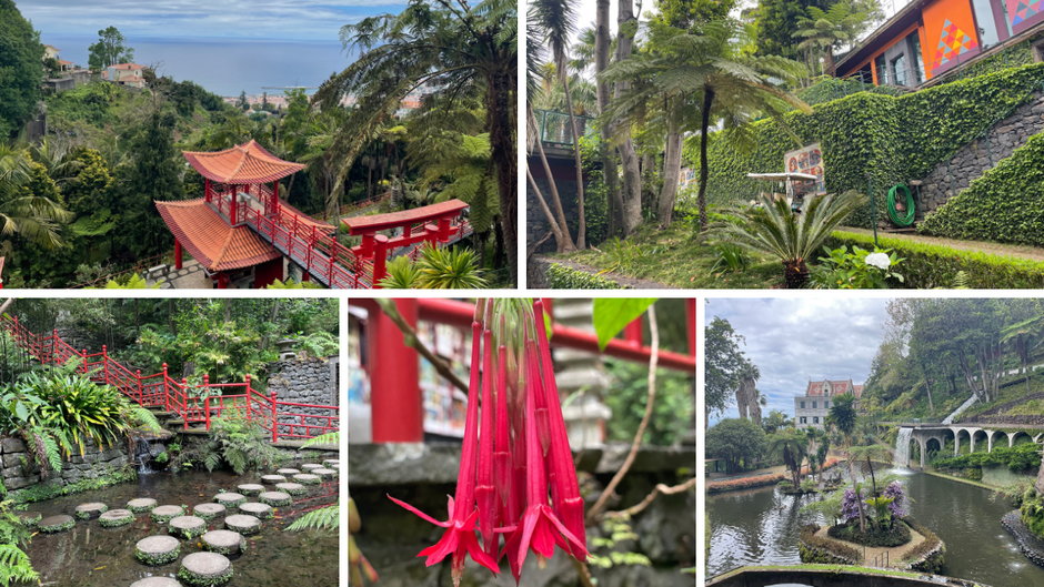 Ogród Jardim Tropical Monte Palace obfituje we wspaniałą, egzotyczną roślinność