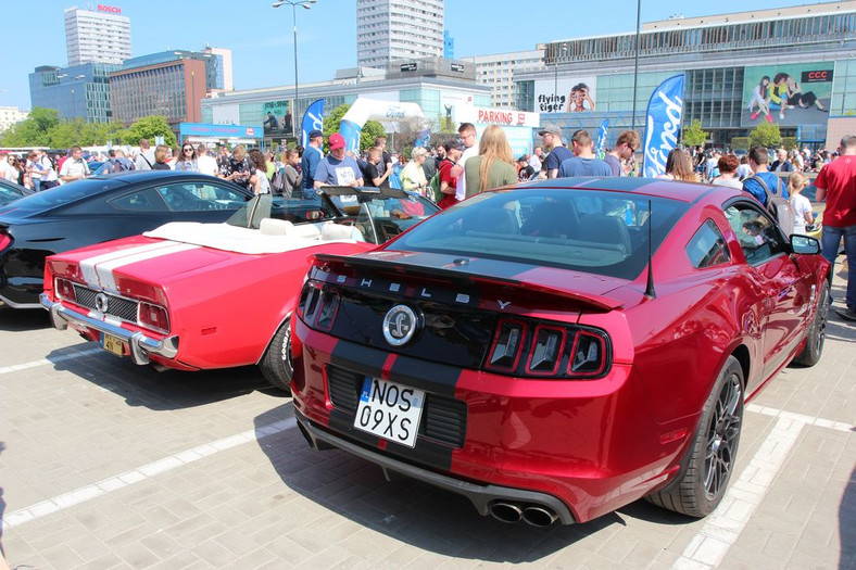 10. Zlot Fordów Mustangów w Warszawie