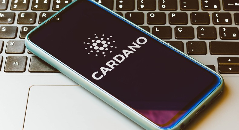 cardano
