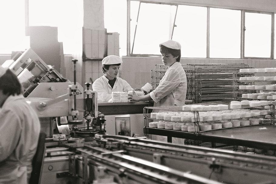 Sławę turecka mleczarnia  zyskała, gdy w 1981 r. ruszyła w niej – jako pierwszej w Polsce – produkcja serów dojrzewających. Francuzi, którzy firmę przejęli, rozbudowali jej ofertę. Dziś swoje sery eksportuje do kilkudziesięciu krajów