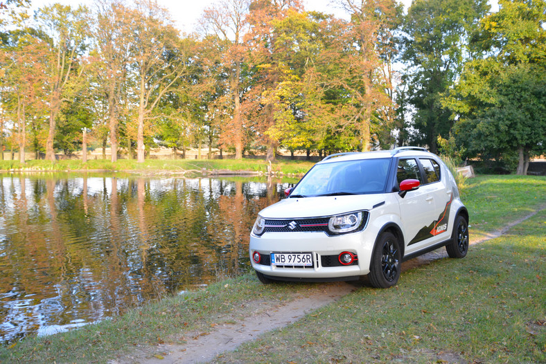 Suzuki Ignis 1.2 DualJet 4WD