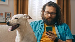 właściciele psów i kotów obowiązkowo zapłacą podatek? gminy ściągają o