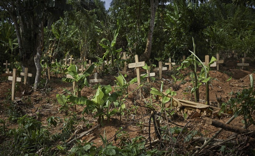 FALA EPIDEMICZNA WIRUSA EBOLA W AFRYCE