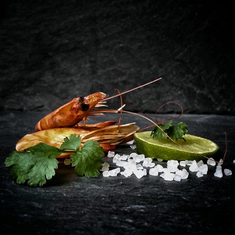 Shrimps, fot. Agnieszka Domańska