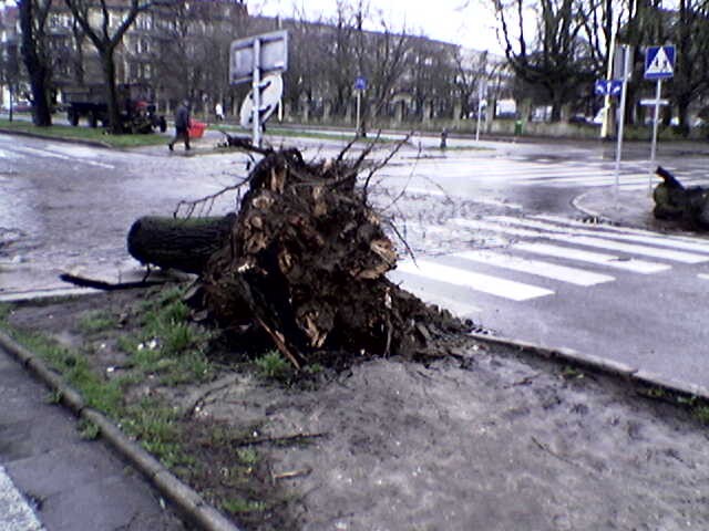 (tel. kom) Szczecin; Niedziałkowskiego