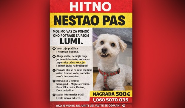 Lumi