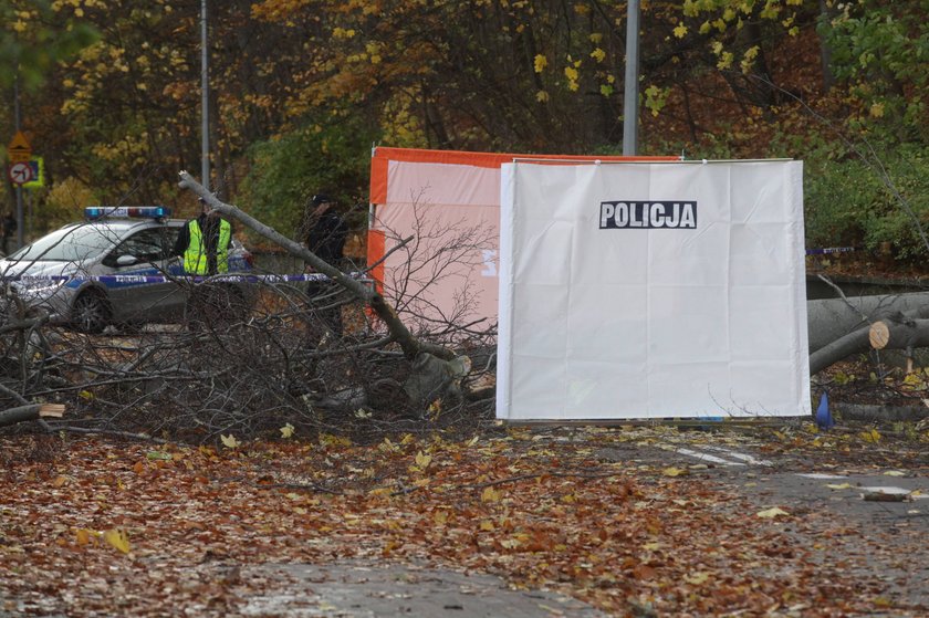 8 listopada podczas wichury w Sopocie drzewo przygniotło panią Jolę i jej córkę