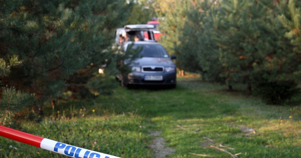 Makabryczne odkrycie pod Świeciem. Znaleziono ludzkie szczątki