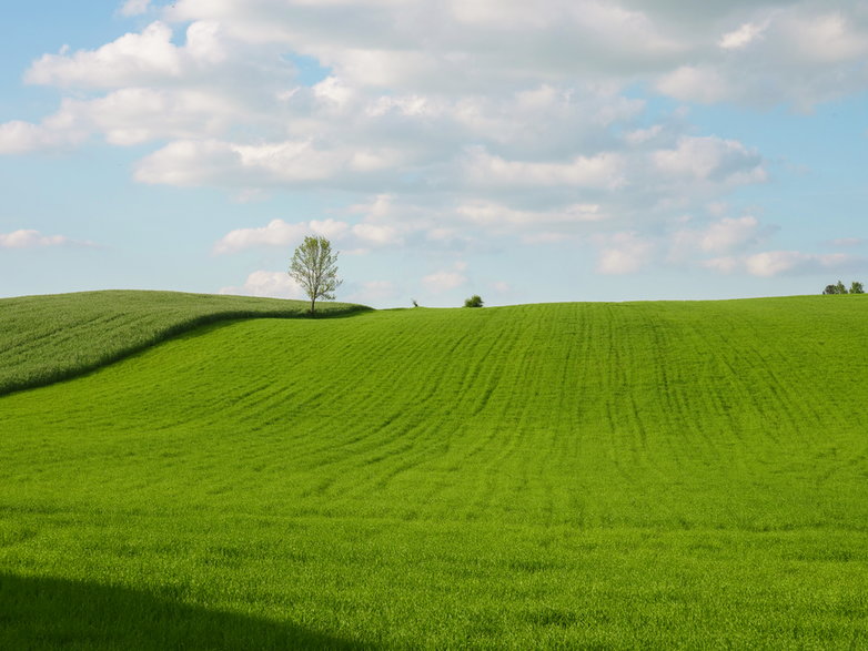 Czy nie przypomina ci to pulpitu Windowsa na komputerze?