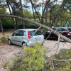 nevreme pogodilo Podgoricu