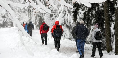 Zima wraca w Tatry! W Zakopanem spadło 10 centymetrów świeżego śniegu