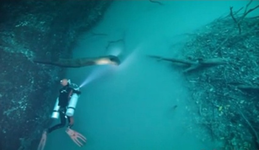 Scene koje je zabeležio ronilac i fotograf Anatolij Beloščin više podsećaju na usamljenu šumu nego na središte pećine ispunjene vodom