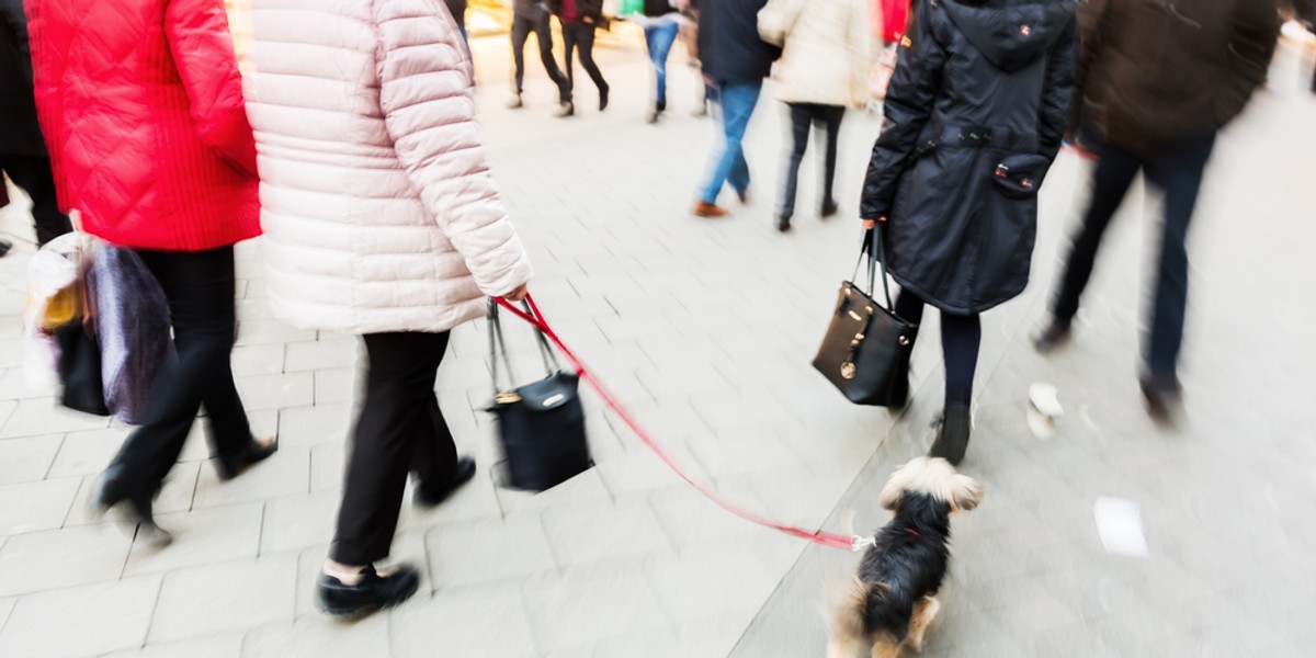 Zakwestionowany przepis ustawy o emeryturach i rentach poddany kontroli Trybunału Konstytucyjnego stanowi, że jeżeli ubezpieczony pobierał wcześniejszą emeryturę to podstawę obliczenia emerytury zwykłej pomniejsza się o sumę pobranych już świadczeń. Rozwiązanie to weszło w życie 1 stycznia 2013 r.