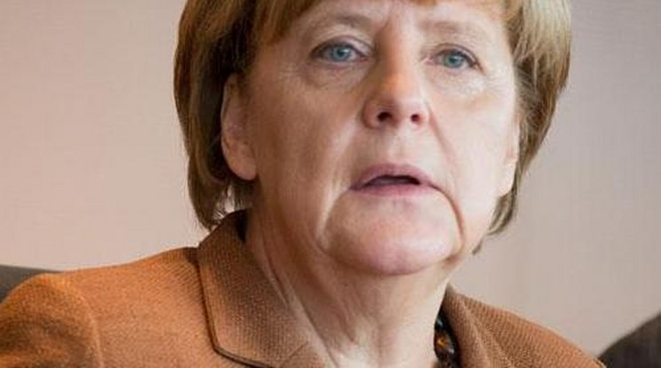 Magyar ex-titkosszolga szólította fel lemondásra Merkelt