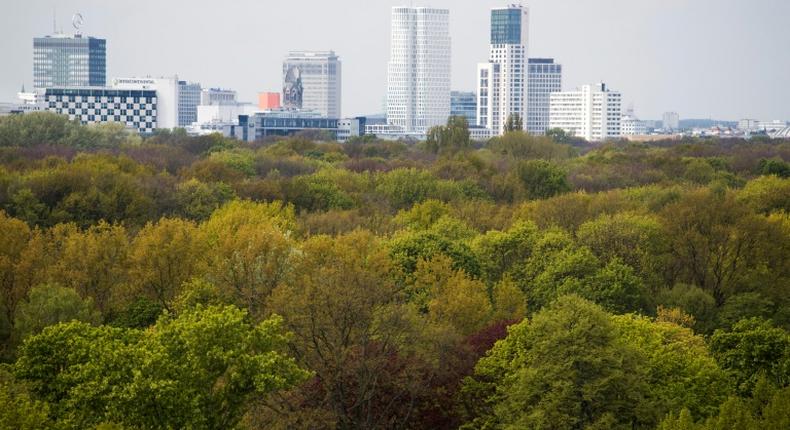 Nightingales have been flocking to Berlin whose scruffy thick foliage in gardens and parks such as the Tiergarten (pictured) is attractive for the birds, say scientists