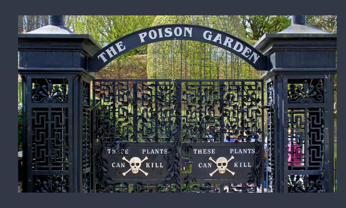 "Te rośliny mogą zabić". To miejsce to królestwo trucizn