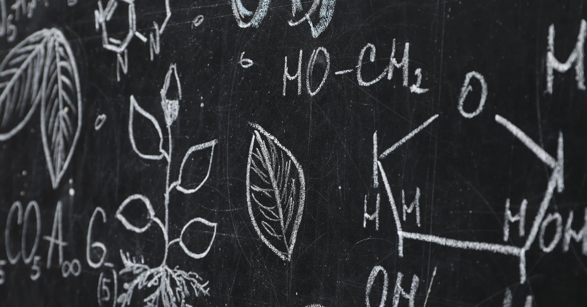 QUIZ. Pytania z matury z biologii. 6/12 to podstawa, ale idź po więcej