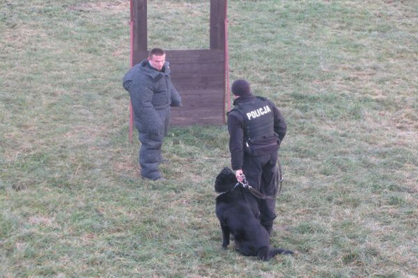 Policjanci z Pardubic i Wrocławia szkolili się z psami służbowymi