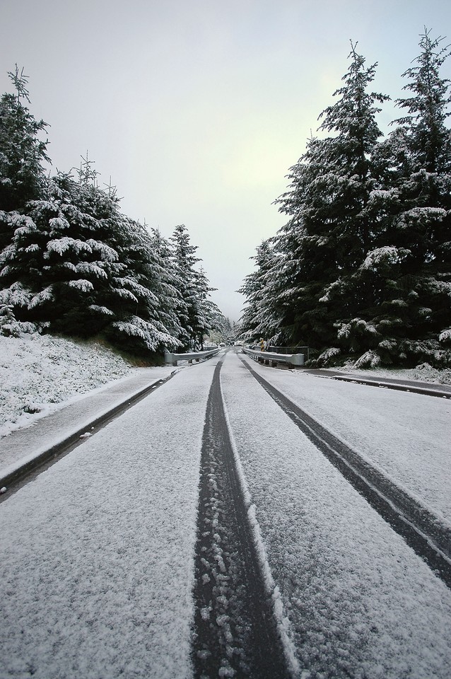 Śnieżyca w Nowej Zelandii