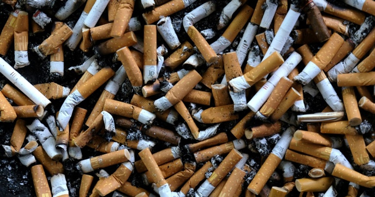 WHO praises Brazil lawsuit against tobacco giants Pulse Nigeria