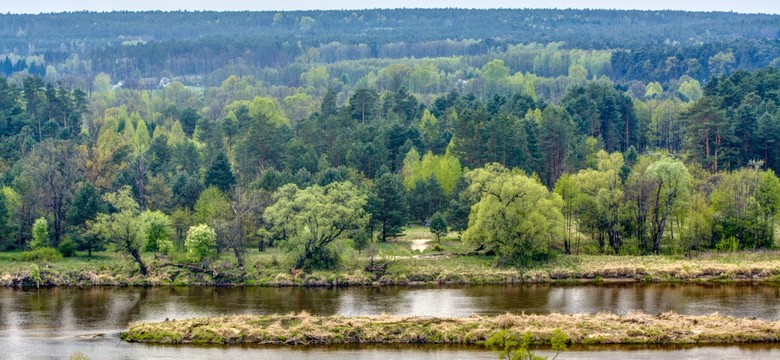 Turyści odwołują rezerwacje na Podlasiu. "Mamy lęk, szczególnie jak widzimy tyle wojska"