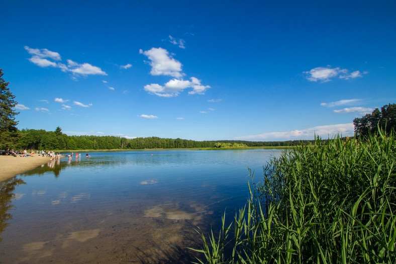 Roztoczański Park Narodowy, Zwierzyniec