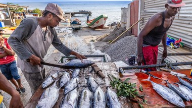 polacy za granicą: w tym kraju mieszka ich tylko dwoje. zamiast polski