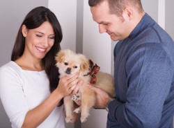 Pies cieszy tak samo, jak dziecko