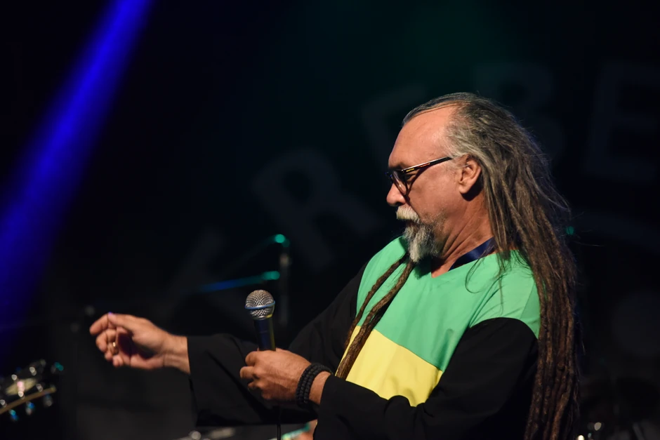 Jovan Matić, Del Arno Band