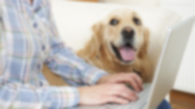 Pies terapeuta podczas epidemii wspiera medyków za pomocą sesji online