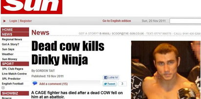 Zmarł, bo przygniotła go krowa