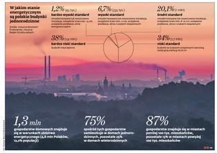 Będzie rządowa pomoc w termomodernizacji. Czy to pomoże w walce ze smogiem?