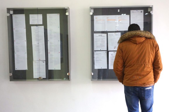 Šansa za posao: Opredeljeno 5,5 milijardi dinara za mere zapošljavanja! Program "Garancija za mlade" od 2027. u celoj Srbiji