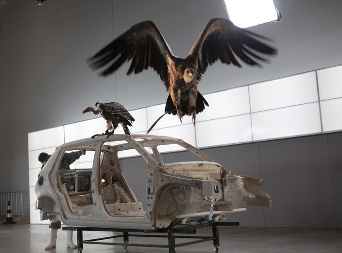 Najdziksza fabryka samochodów!