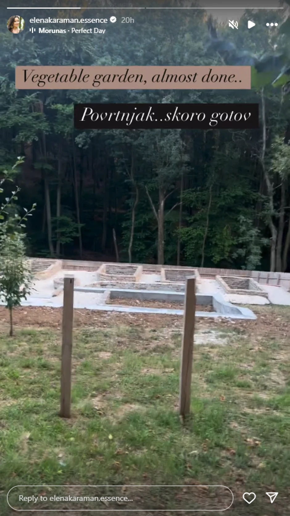 Elena Karić, objava