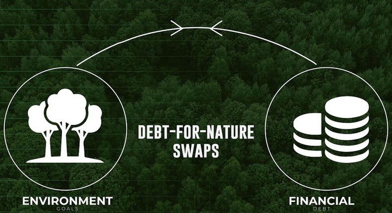 African countries pursue groundbreaking joint 'Debt-for-Nature' swap