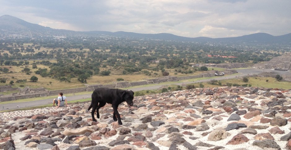  Teotihuacán to zagadka wymarłej cywilizacji